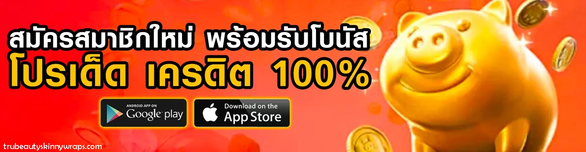 เว็บ m24th